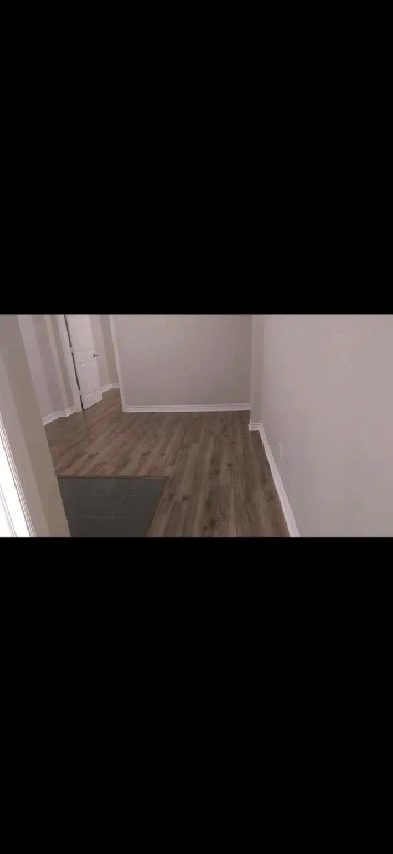 Basement Apartment for Rent Image# 5