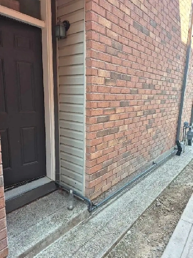 3 Bedroom Basement with Separate entrance Image# 1