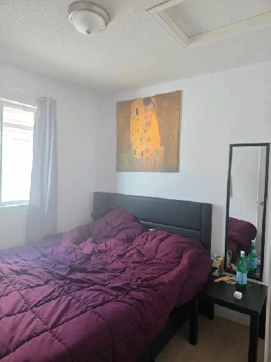 Room for rent Image# 3