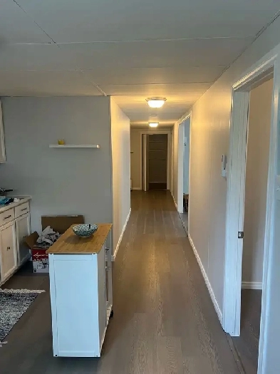 1 bed 1 bath apartment/ move in ready Image# 1