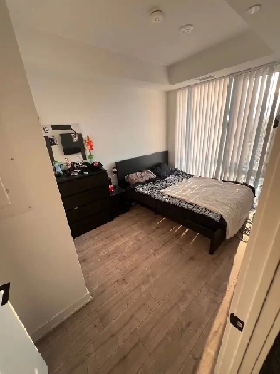 PORT CREDIT room for rent Image# 8