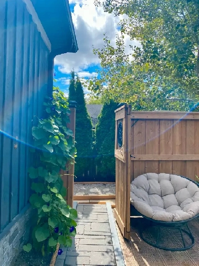 1 or 2 bedroom Furnished unit w/ Private backyard and entrance Image# 7