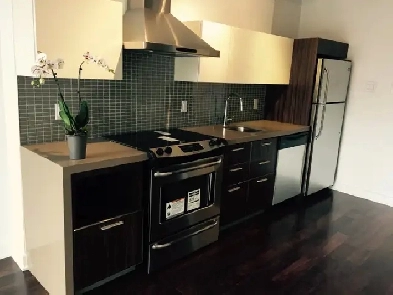 Downtown Luxury Condo for Rent for Sept. OR Oct. 1st Image# 5