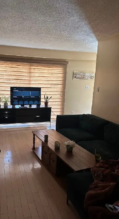 Space Available for one girl in Shared room near Humber College Image# 6