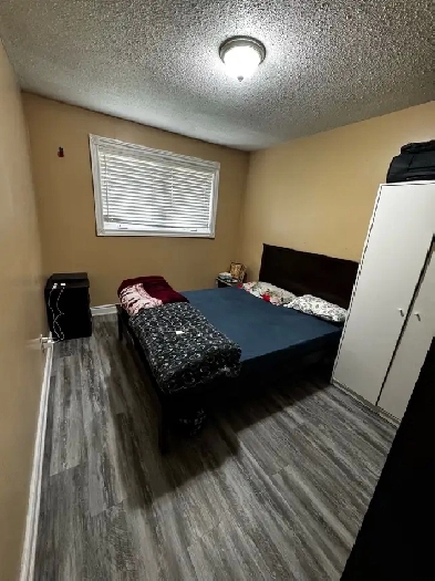Room available for one girl in shared room near ahumber college Image# 5