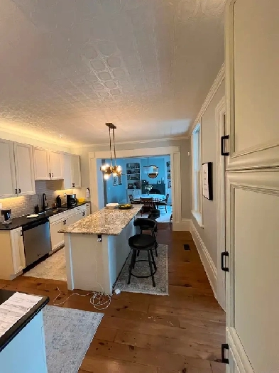 Extra Large 2 bedroom, 2 level luxury apartment for rent Image# 1