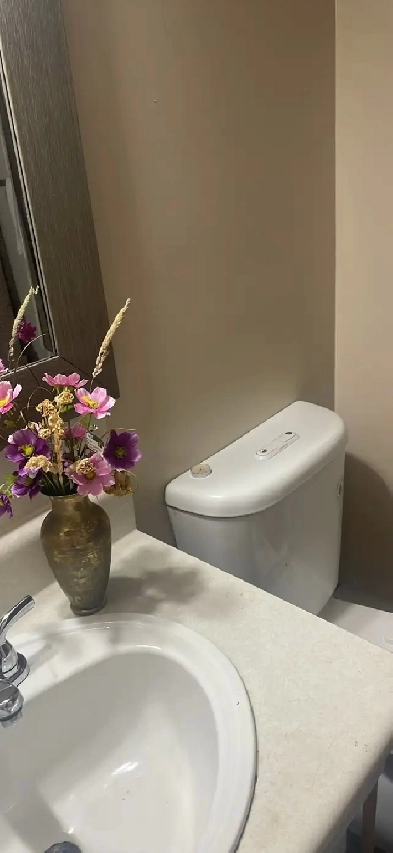 ROOMMATE WANTED Image# 1