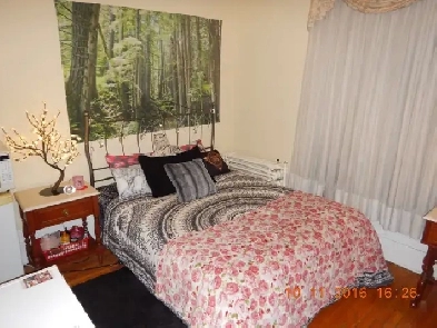 uOTTAWA students accommodation $715  few left now Image# 3