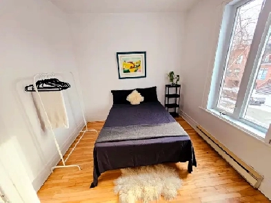 Chambre à louer/Ahuntsic. Image# 4