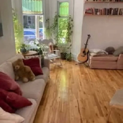 Sublet in the Plateau for two months or more ! Image# 5