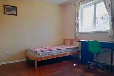 A room is available for rent in a shared accommodation Image# 3