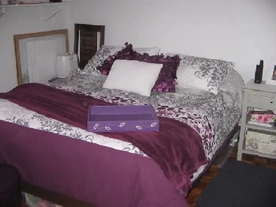 logement à louer-metro langelier-grand 3 1\2 Image# 9
