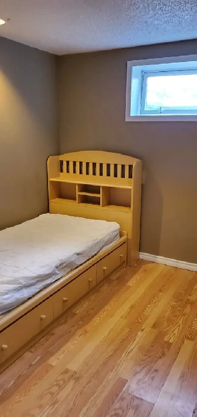 Room for Rent in Whitehorn / Falconridge NE Image# 3