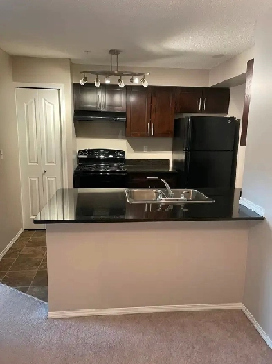 Airdrie 2 bedroom condo ALL UTILITIES INCLUDED! Image# 5