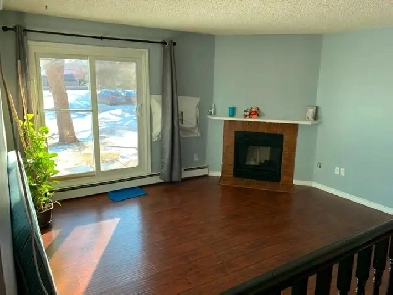2 BEDROOM, 1 BATHROOM RENTAL CONDO Image# 5