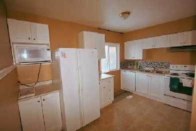 One Bedroom in Basement Near U of A Image# 1