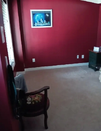 Searching for dog-loving room mate in Stittsville, ON. Image# 8