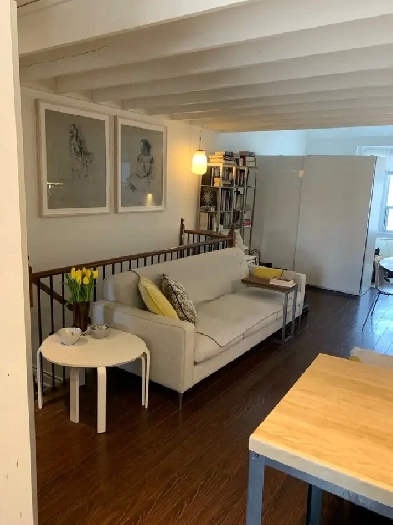 FURNISHED LOFT RIVERDALE SEPT ONLY  (Not AIRB&B/Condo) Image# 3