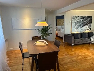Magnifique appartement avec grande terrace et bain toubillon Image# 2