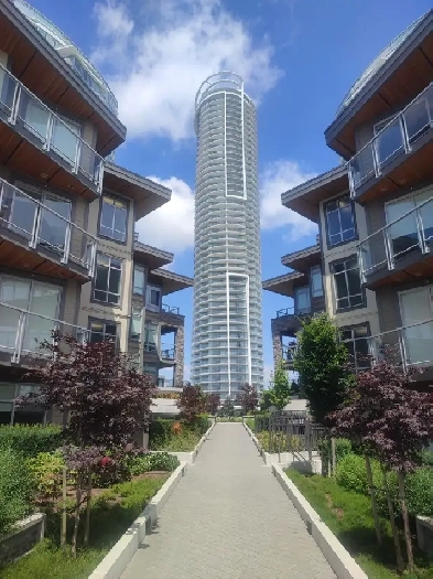 Brand New Condo  2 Bed   Den,  2 Bath Image# 5