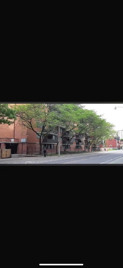 bachelor downtown Toronto Image# 6