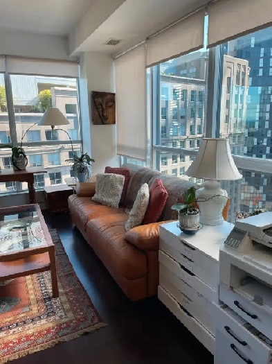 VIP: Female Business Professional Furnished Room Union/Gardiner Image# 12