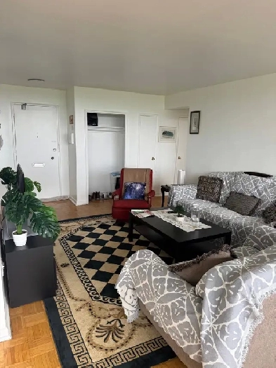 Need roommate Image# 4