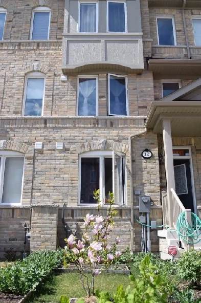 Ellesmere & Midland Suite for rent. 20 Mins to UTSC Image# 8