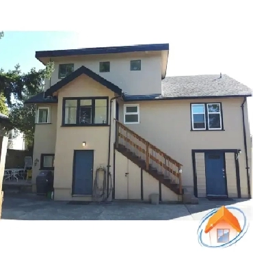 One bedroom basement suite for rent Cook/Quadra Image# 5