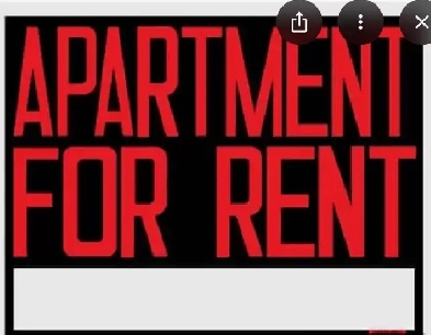 1 bedroom basement apartment in Stephenville Image# 1