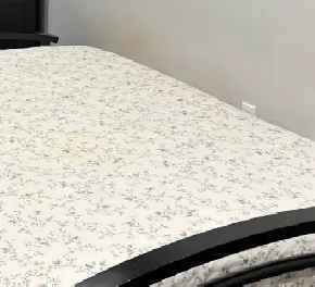 A shared furnished room for rent in Dundas and Dixie areas