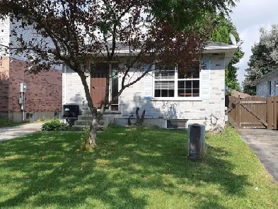 ROOM RENTALS WALK TO FANSHAWE FROM FLEMING DRIVE -ALL INCLUSIVE Image# 8