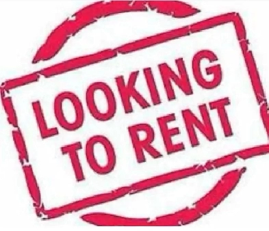 looking to Rent private Room/ 1 bedroom or bachelor Apartment Image# 1