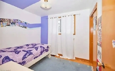 Room for rent Lundys / Dorchester Image# 4