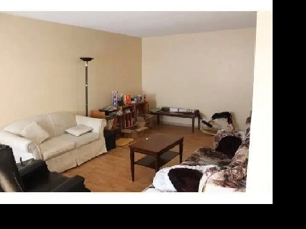 BACH., 1 BDRM 2 BDRM suites and Pvt. ROOMS from $600/m Image# 1