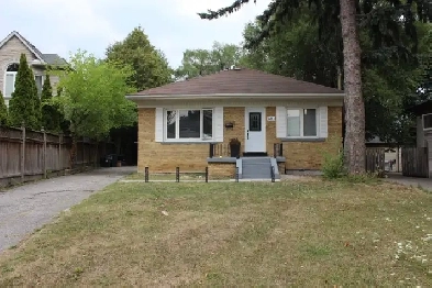 Newly Renovated Cozy 1 Bedroom Unit In North York! Image# 1