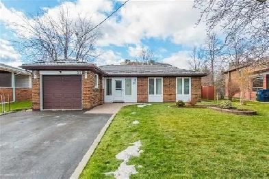 ALL included! Donmills/ Van Horne, BSMT for lease only$ 1699! Image# 1