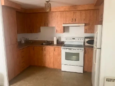 Joli 3 et demi, rue Bennett Thetford, disponible 1er septembre Image# 1