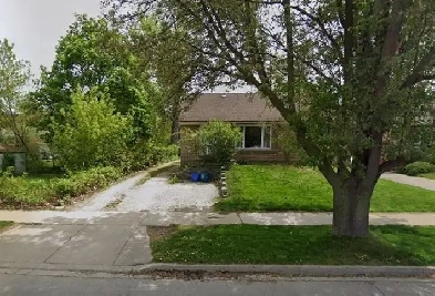 3 Bedroom apartment for rent Image# 3