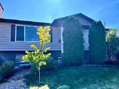 Large 2 bedroom Basement Suite Image# 1