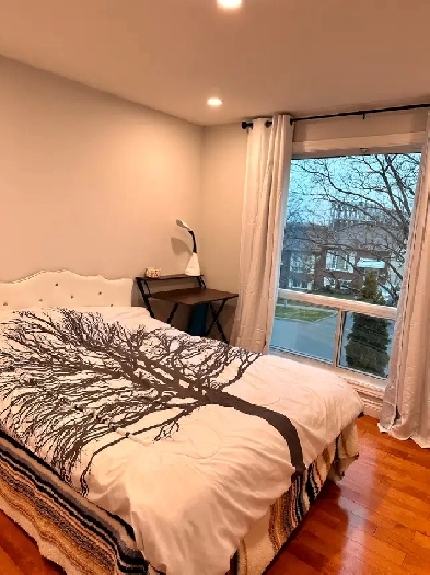 Furnished-Bright-Large Bedroom- Parking - Central Oshawa- Sept 1 Image# 1