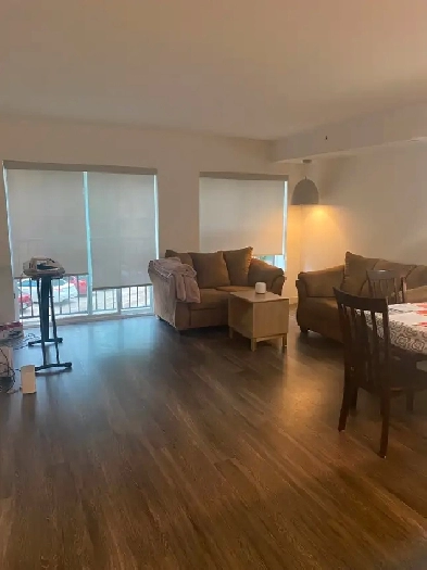 Seeking female roommate to share 2-bed/2-bath apartment Image# 4