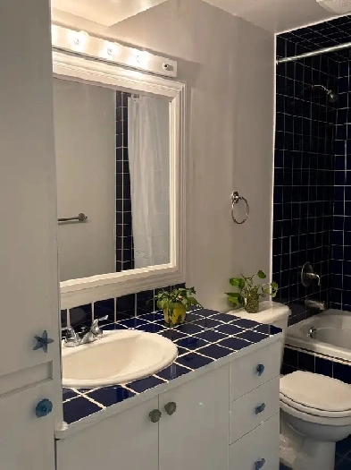 Spacious 2 Bedroom Walk-out - Utilities and Parking Included Image# 8