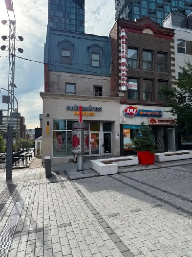 Bureau à louer – 262, rue Sainte-Catherine Ouest, QDS 1100 pi2 Image# 1