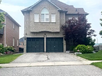 AJAX - 2 bdrm Basement Apartment Image# 3