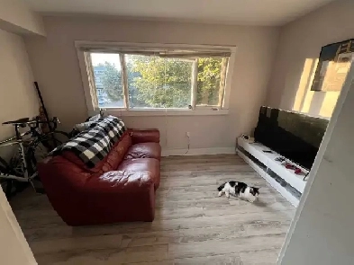 Available September 1st Bright one Bedroom in Quinpool Rd Image# 1