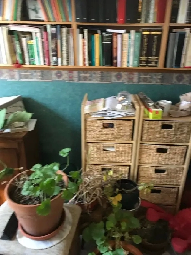 3 bedroom furnished house for rent Image# 2