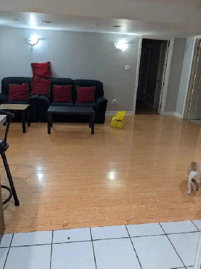 Basement apartment for rent Image# 3