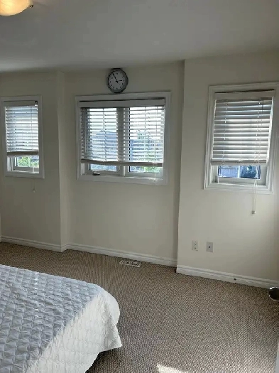 Room for rent in South London. Image# 3