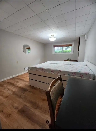 Basement Room Near Mohawk College Hamilton Image# 5
